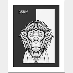 Black Shanked Douc Langur Monkey Posters and Art